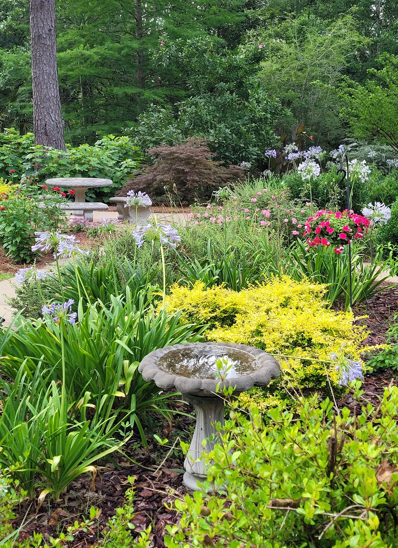 Community garden at DayStar.